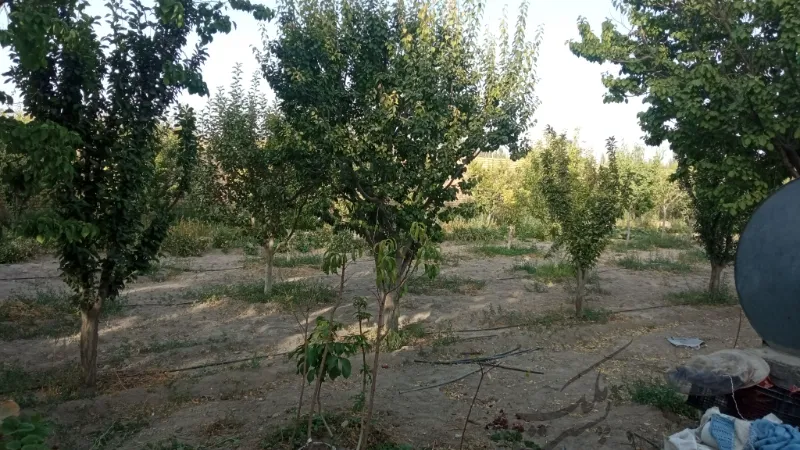 باغ ویلا چناران روستای دستگرد | فروش مسکونی | ویلا | چناران | پست ملک