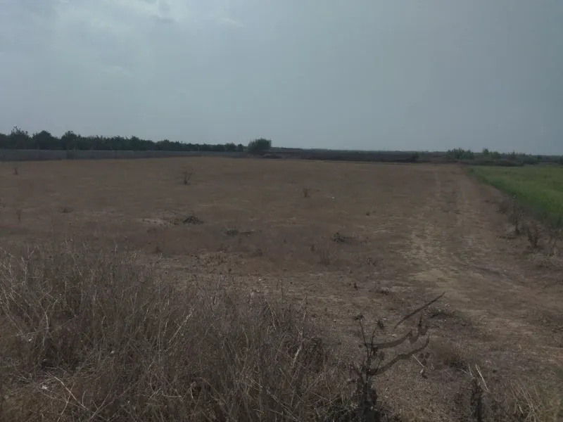 زمین کشاورزی شیرین بل ۵۳۰ متر | فروش اداریتجاریصنعتی و کشاورزی | صنعتی کشاورزی و تجاری | ساری | جاده پلاژ | پست ملک