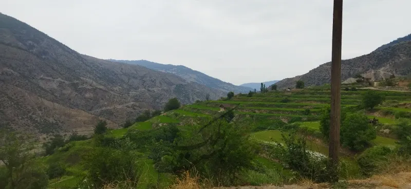 ۲۰۰متر زمین ییلاقی درروستای بالا لله بند سوادکوه | فروش مسکونی | زمین | سوادکوه | پست ملک