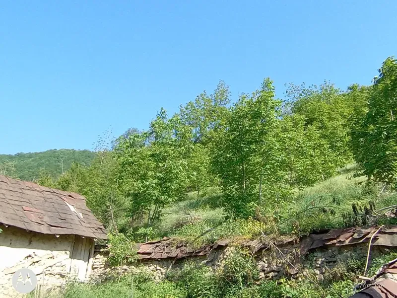 ۲۰۰متر زمین ییلاقی درروستای بالا لله بند سوادکوه | فروش مسکونی | زمین | سوادکوه | پست ملک