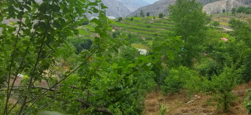 ۲۰۰متر زمین ییلاقی درروستای بالا لله بند سوادکوه | فروش مسکونی | زمین | سوادکوه | پست ملک