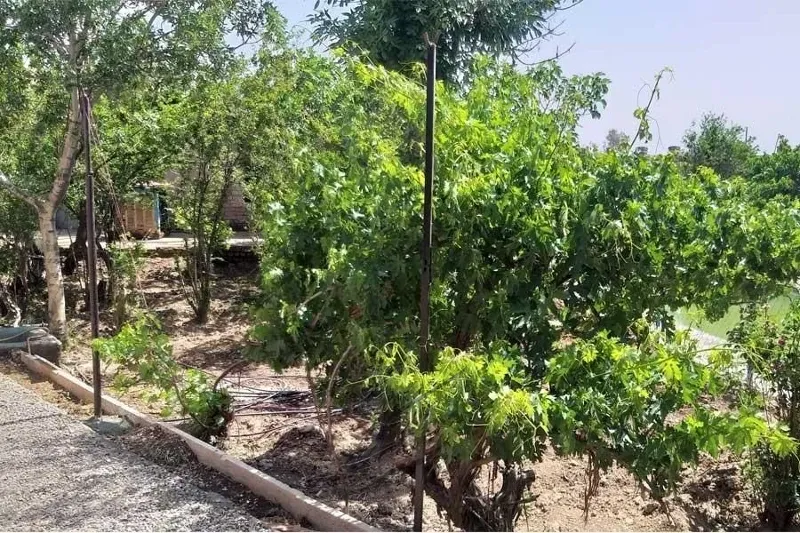 خانه و باغ مناسب و آماده جهت بومگردی