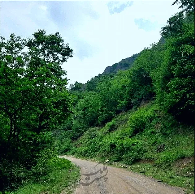 زمین با موقعیت استثنایی در جاده چالوس ۲۹۱ متر | فروش مسکونی | زمین | چالوس | شهرک اکسیژن | پست ملک