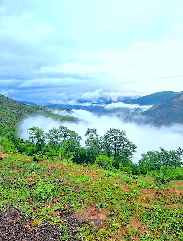 زمین با موقعیت استثنایی در جاده چالوس ۲۹۱ متر | فروش مسکونی | زمین | چالوس | شهرک اکسیژن | پست ملک