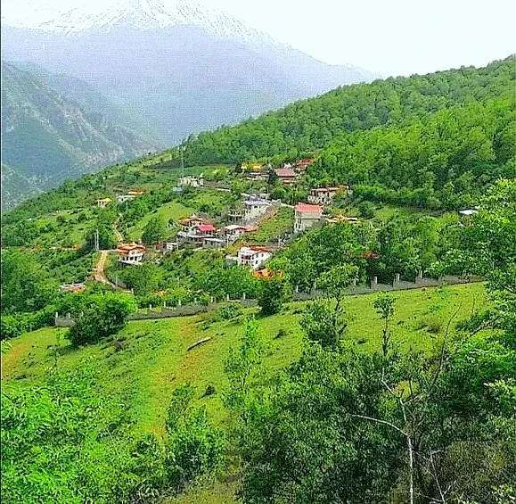 زمین با موقعیت استثنایی در جاده چالوس ۲۹۱ متر | فروش مسکونی | زمین | چالوس | شهرک اکسیژن | پست ملک