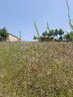 ۱۶۰۰ متر کاربری مسکونی روستای قوشلانه