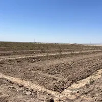فروش زمین کشاورزی مشهد