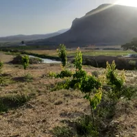 فروش زمین ۱۳۰۰ متری در گلبهار روستای جمعاب وصل به گلبهار