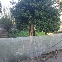 زمین با خانه ویلایی در حاجی بکنده خیابان امام