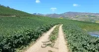 ۱۵۰۰ متر روستای جعفر کلا