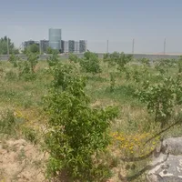 باغ به متراژ ۳۷۰۰متر در دشت یال ایلخچی