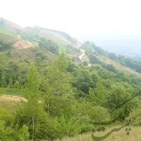 ۳۰۰ مترمربع زمین کشاورزی روستای تخت (تسطیح شده)