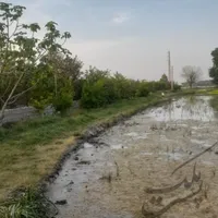 زمین کشاورزی فروشی پشت کانال گلچالسر