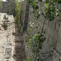 باغچه هشتصد متری چهاردیواری