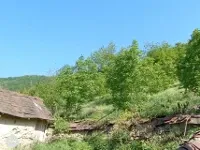 ۲۰۰متر زمین ییلاقی درروستای بالا لله بند سوادکوه