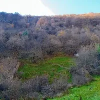 این زمین وسط جنگلای رودبارکه