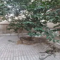 آپارتمان ۴۰ متری به همراه ۳۰ متر حیاط اختصاصی وحیدیه تهران