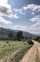 زمین جنگلی مناسب برای احداث کلبه جنگلی و بومگردی