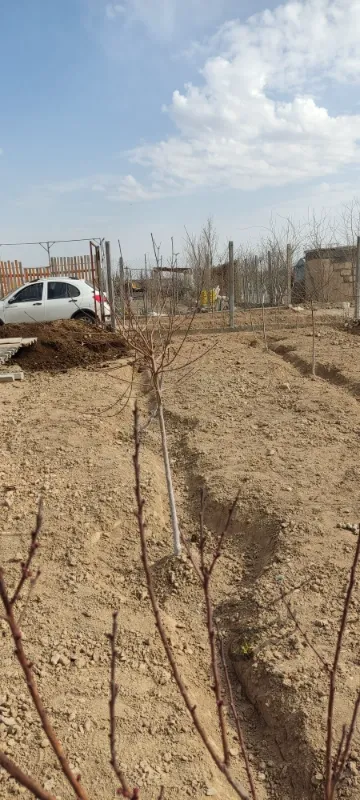 ۵۵۰ متر در مرجان آباد چهاردانگه | فروش مسکونی | ویلا | چهاردانگه | پست ملک