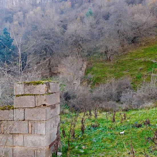 این زمین وسط جنگلای رودبارکه | فروش مسکونی | زمین | کلاردشت | رودبارک | پست ملک