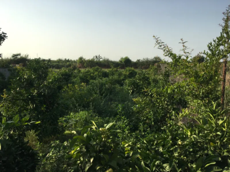 ۶۱۴ متر خانه سرا در جاده دریا گهرباران ۵ کیلومتری ساحل | فروش مسکونی | زمین | ساری | گهرباران | پست ملک