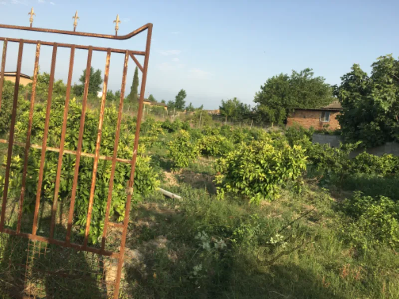 ۶۱۴ متر خانه سرا در جاده دریا گهرباران ۵ کیلومتری ساحل | فروش مسکونی | زمین | ساری | گهرباران | پست ملک