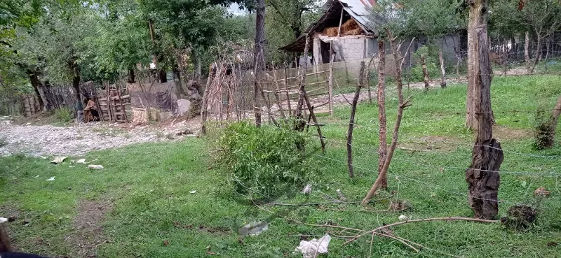 ۵۰۰متر زمین مسکونی در روستای وشمه سرا | فروش مسکونی | زمین | ماسال | پست ملک