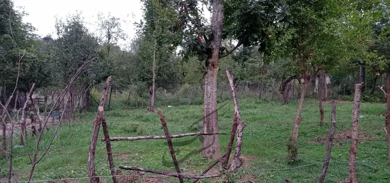 ۵۰۰متر زمین مسکونی در روستای وشمه سرا | فروش مسکونی | زمین | ماسال | پست ملک