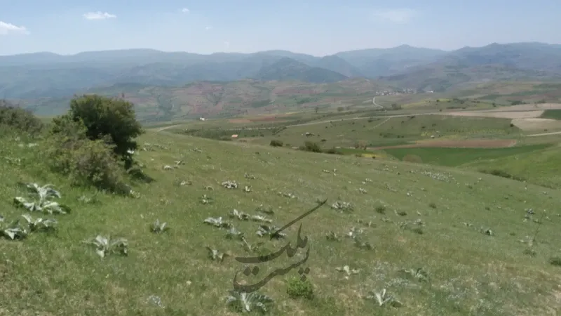 زمین کشاورزی ۵۴۰۰ متر در دیلمان روستای عاشورآباد | فروش اداریتجاریصنعتی و کشاورزی | صنعتی کشاورزی و تجاری | دیلمان | پست ملک