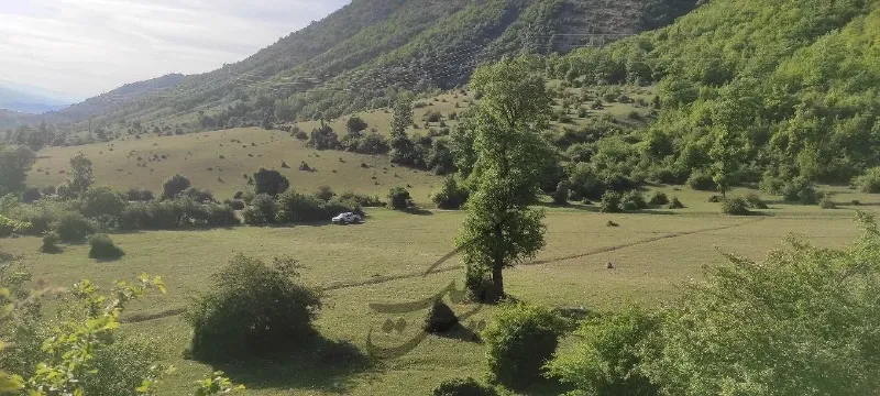 زمین جنگلی مناسب برای احداث کلبه جنگلی و بومگردی | فروش اداریتجاریصنعتی و کشاورزی | صنعتی کشاورزی و تجاری | نوشهر | لشکنار | پست ملک