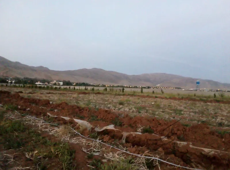 فروش ۱۰۰۰متر زمین زراعتی در هماشهر | فروش مسکونی | زمین | هماشهر | پست ملک