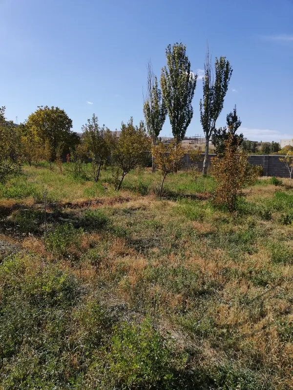 زمین ویلایی در خاوران زرنق به متراژ ۵۰۰ متر | فروش مسکونی | زمین | تبریز | خاوران | پست ملک