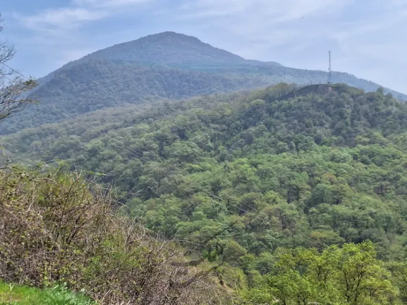 روستای یورت کاظم ۴۰۰ متر مربع | فروش مسکونی | زمین | گالیکش | پست ملک