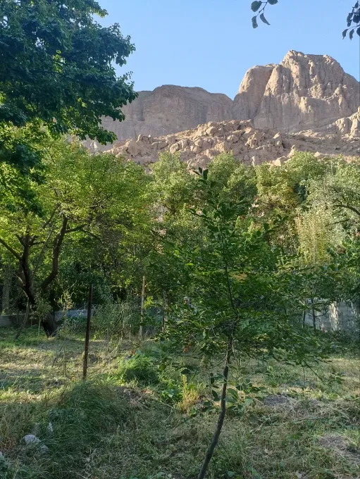 باغ میوه در روستای زیبای اخلمد به مساحت ۵۵۰ متر | فروش اداریتجاریصنعتی و کشاورزی | صنعتی کشاورزی و تجاری | چناران | پست ملک