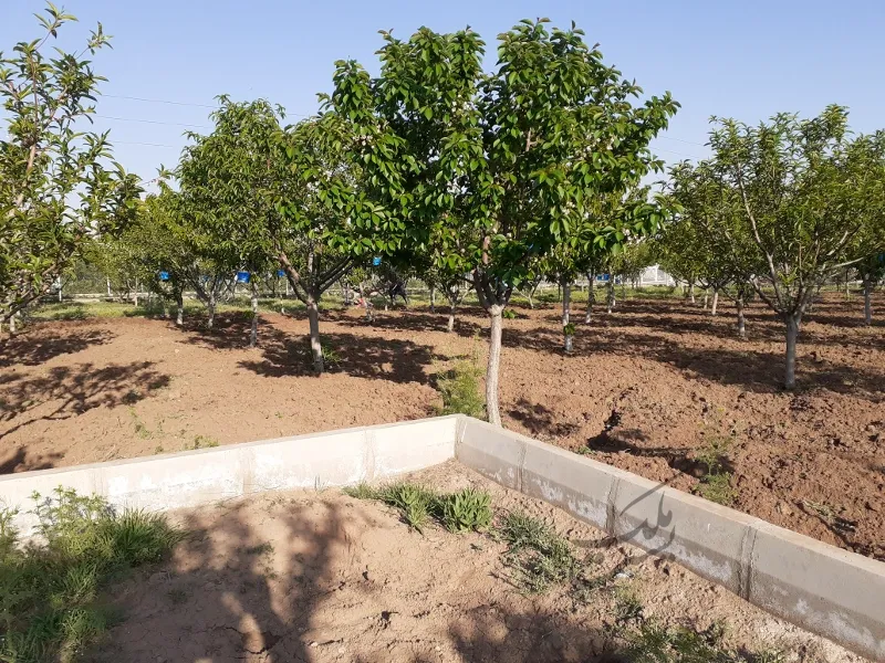 باغ ویلا سندرسمی اتاق کنتور برق بحر آسفالت ۴۰۰۰ متر | فروش اداریتجاریصنعتی و کشاورزی | صنعتی کشاورزی و تجاری | تهران | کن | پست ملک