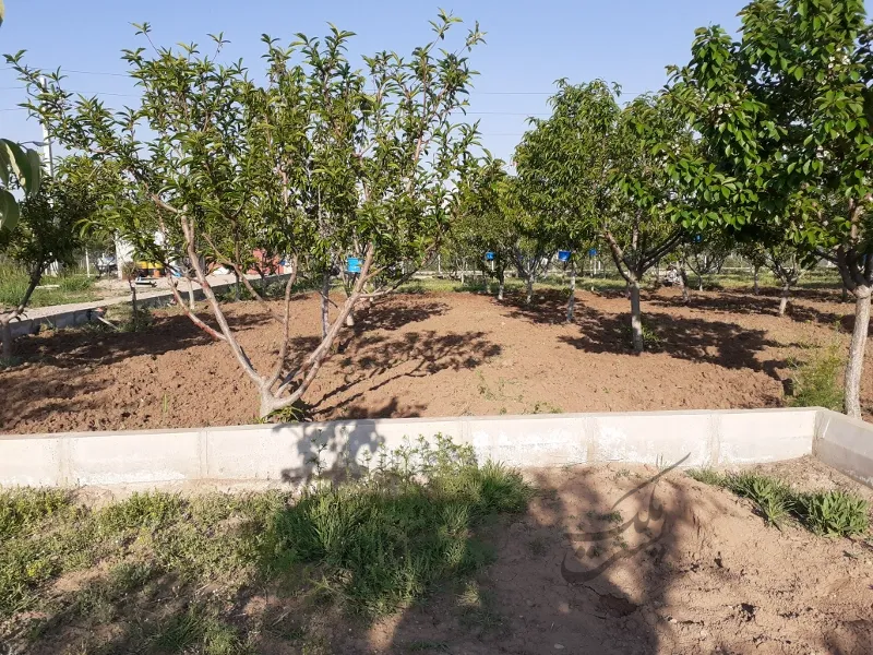 باغ ویلا سندرسمی اتاق کنتور برق بحر آسفالت ۴۰۰۰ متر | فروش اداریتجاریصنعتی و کشاورزی | صنعتی کشاورزی و تجاری | تهران | کن | پست ملک