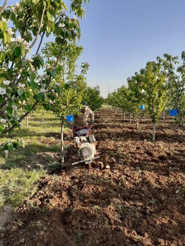 باغ ویلا سندرسمی اتاق کنتور برق بحر آسفالت ۴۰۰۰ متر | فروش اداریتجاریصنعتی و کشاورزی | صنعتی کشاورزی و تجاری | تهران | کن | پست ملک