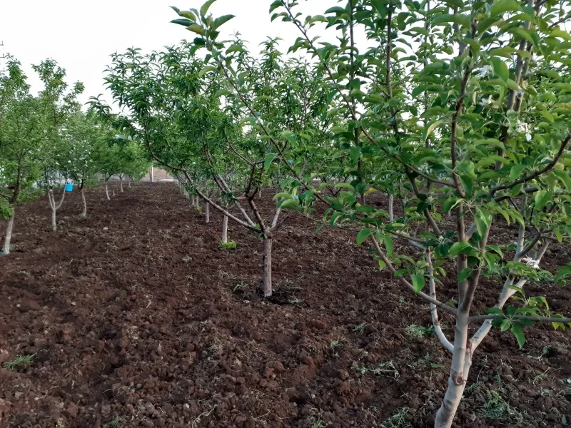 باغ ویلا سندرسمی اتاق کنتور برق بحر آسفالت ۴۰۰۰ متر | فروش اداریتجاریصنعتی و کشاورزی | صنعتی کشاورزی و تجاری | تهران | کن | پست ملک