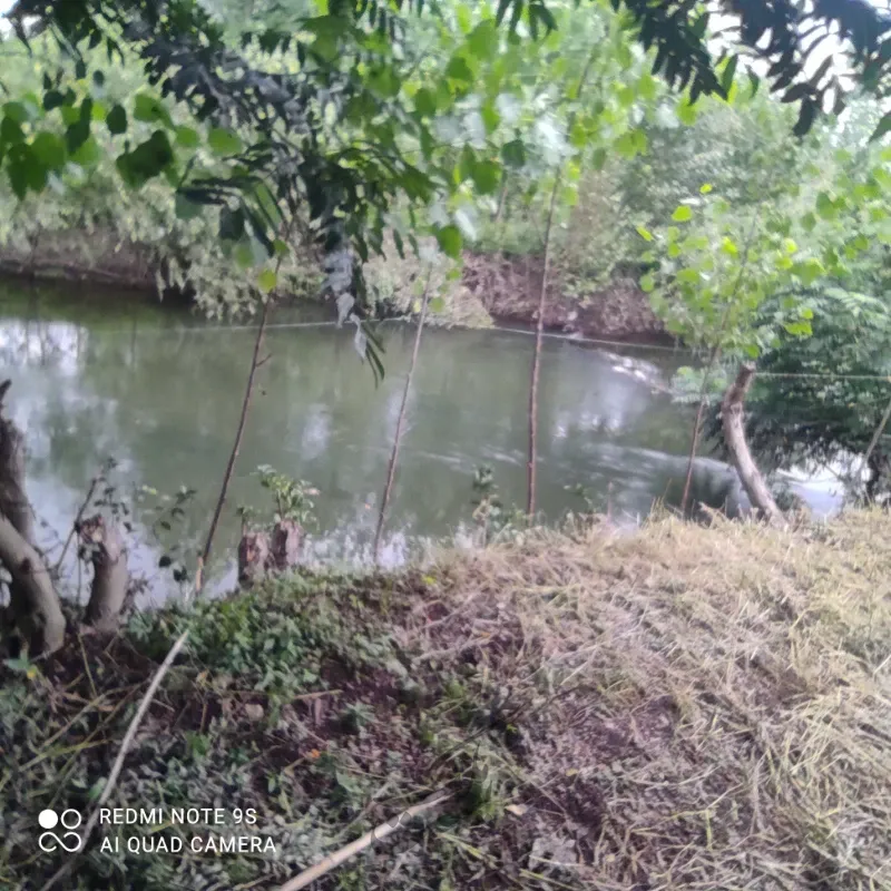 ۱۷۵متر زمین خالص زمین در اصل ۲۶۰متر متراژ دار | فروش مسکونی | زمین | خمام | پست ملک